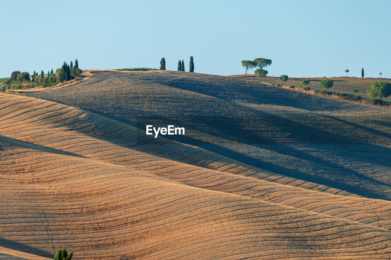 Wavy hills in tuscan farmland