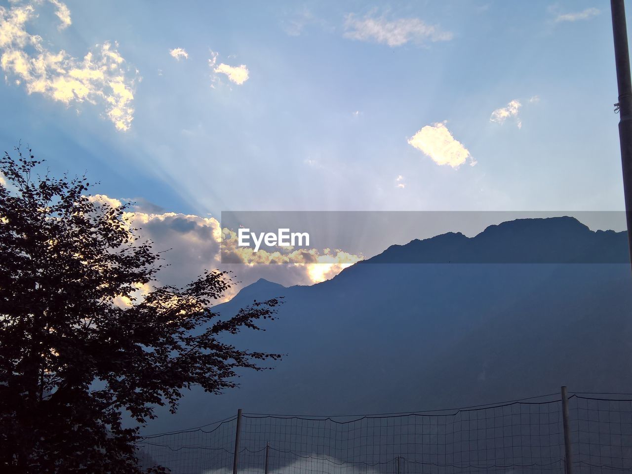 LOW ANGLE VIEW OF SILHOUETTE TREE AGAINST SKY AT SUNSET