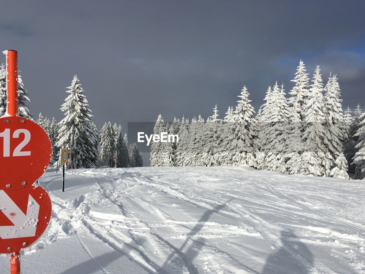 SNOW ON FIELD AGAINST SKY