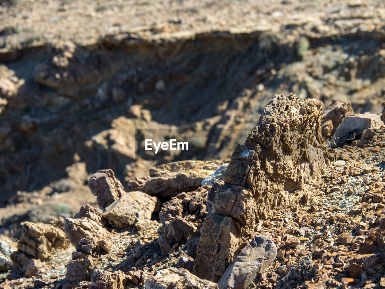 HIGH ANGLE VIEW OF ANIMAL ON ROCKS