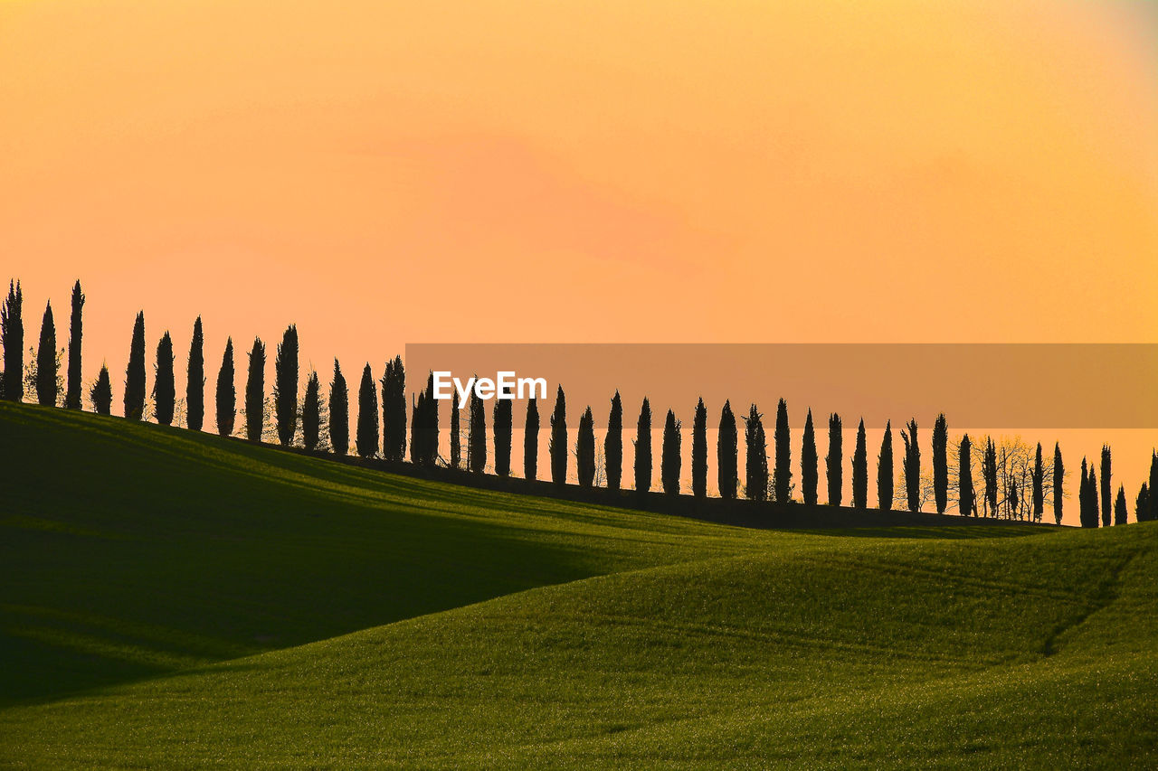 Scenic view of grassy field against sky