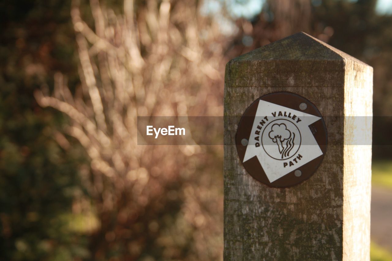 Close-up of information sign on tree trunk