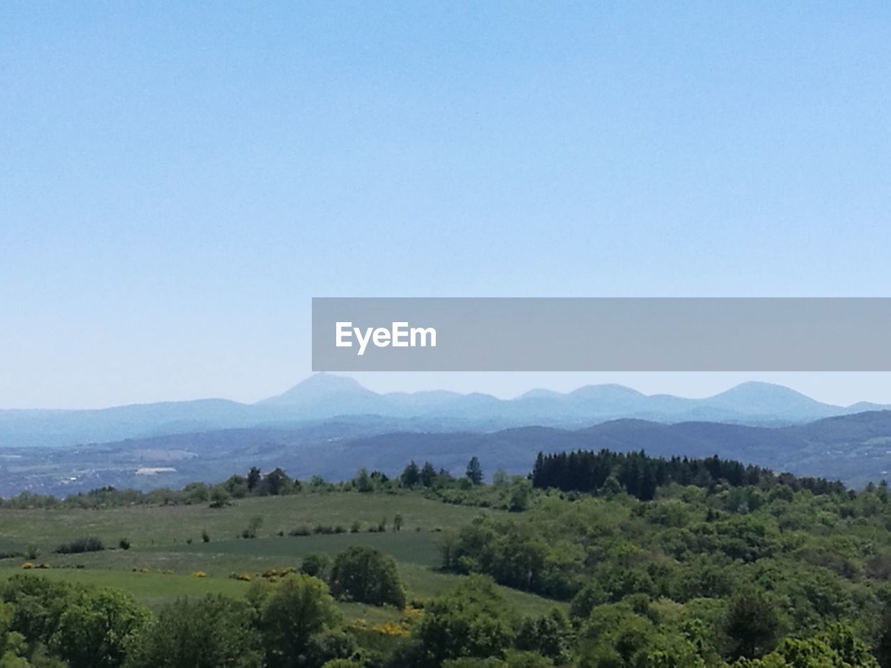 SCENIC VIEW OF FIELD AGAINST CLEAR BLUE SKY