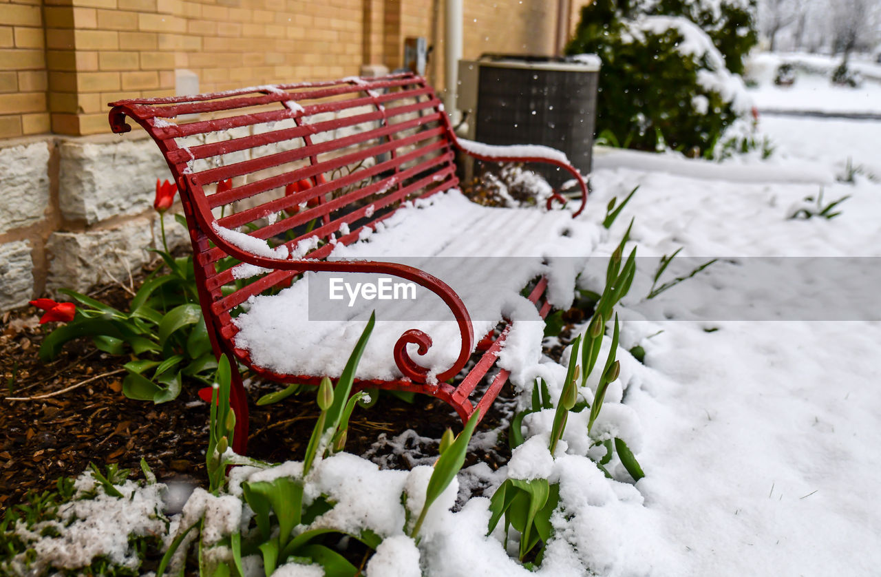 Close-up of snow covered bench in garden