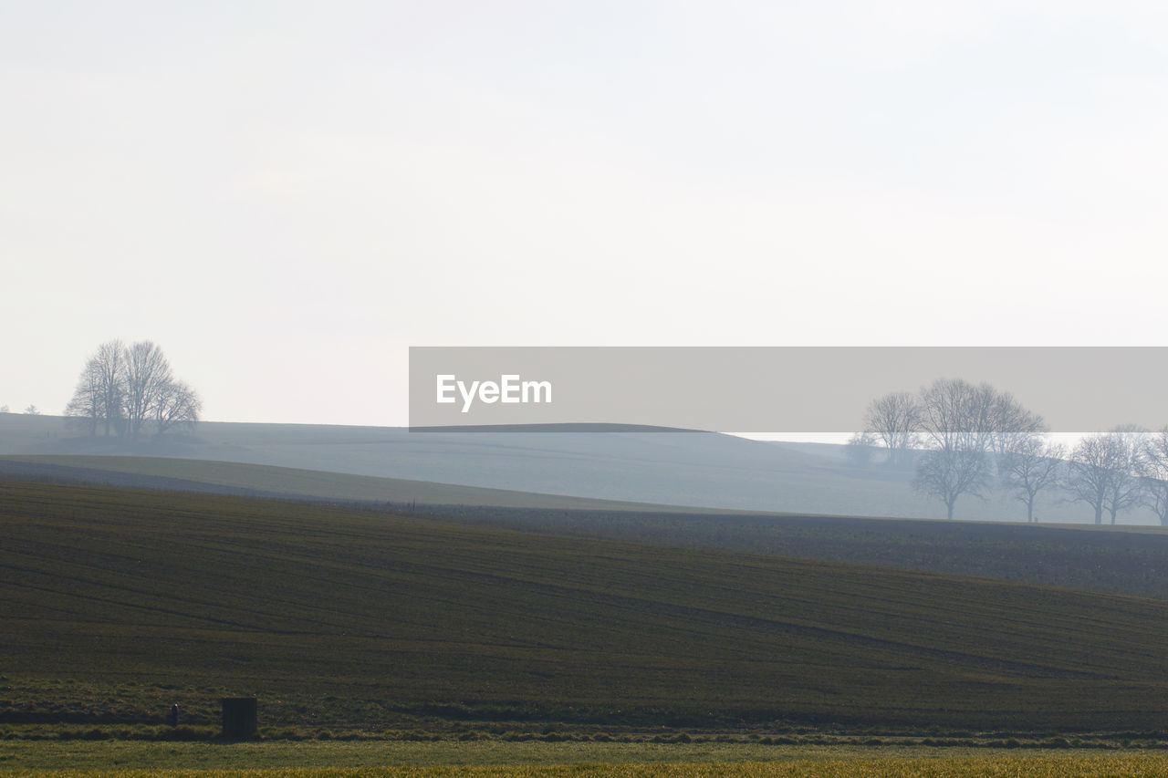 FIELD AGAINST CLEAR SKY