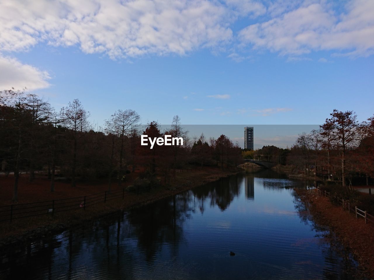 SCENIC VIEW OF LAKE AND TREES