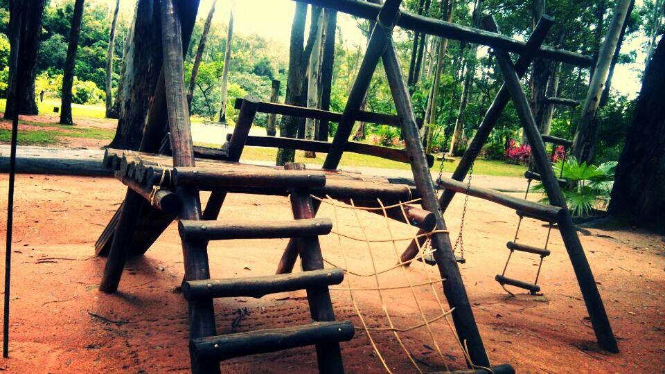 EMPTY BENCHES IN PARK