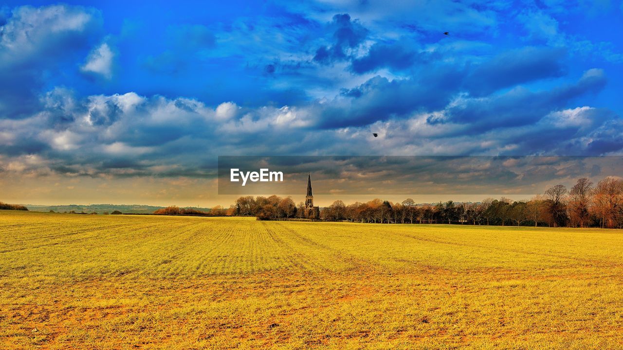 Scenic view of field against sky