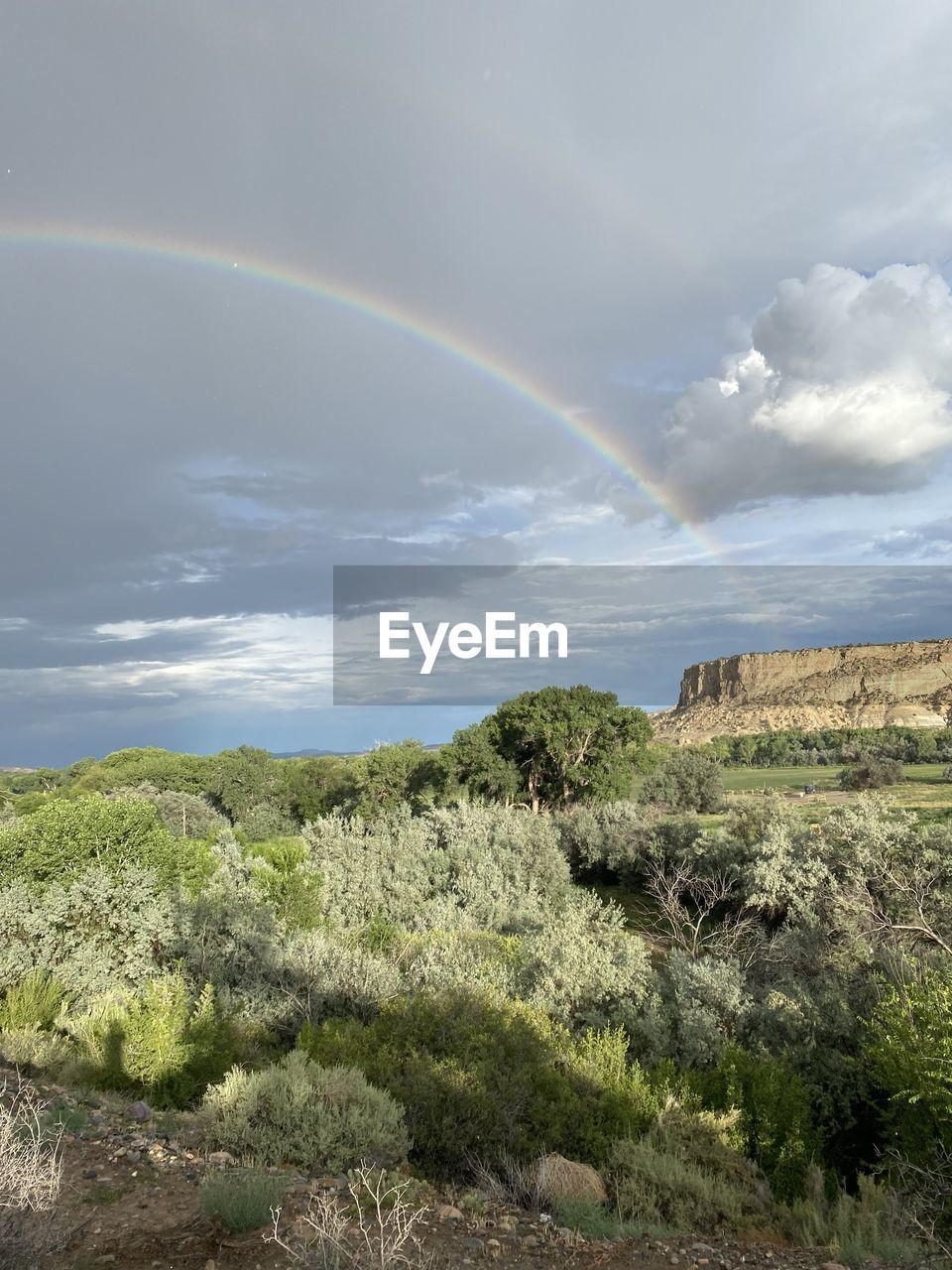 rainbow, beauty in nature, water, scenics - nature, nature, plant, day, no people, tree, cloud, land, environment, waterfall, tranquility, outdoors, tranquil scene, motion, non-urban scene, idyllic, sky, high angle view, landscape, sunlight, water feature, sea