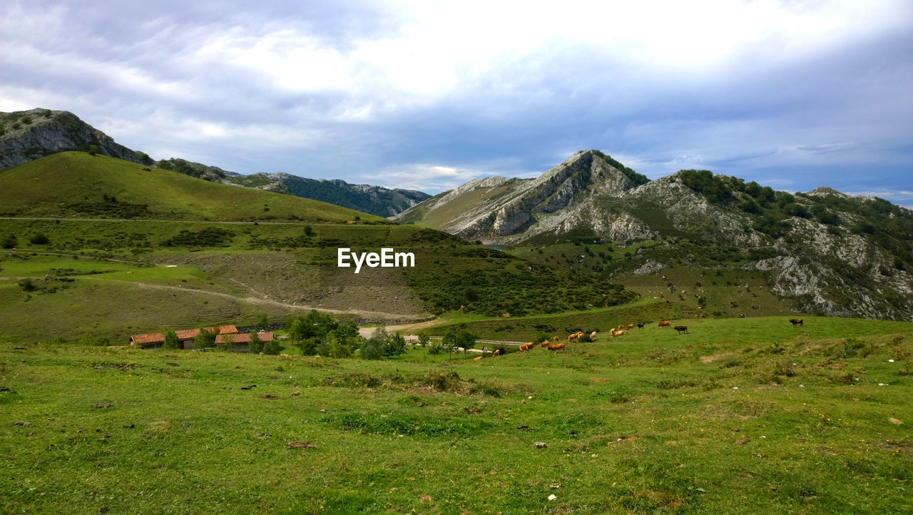 Scenic view of field and mountains against sky