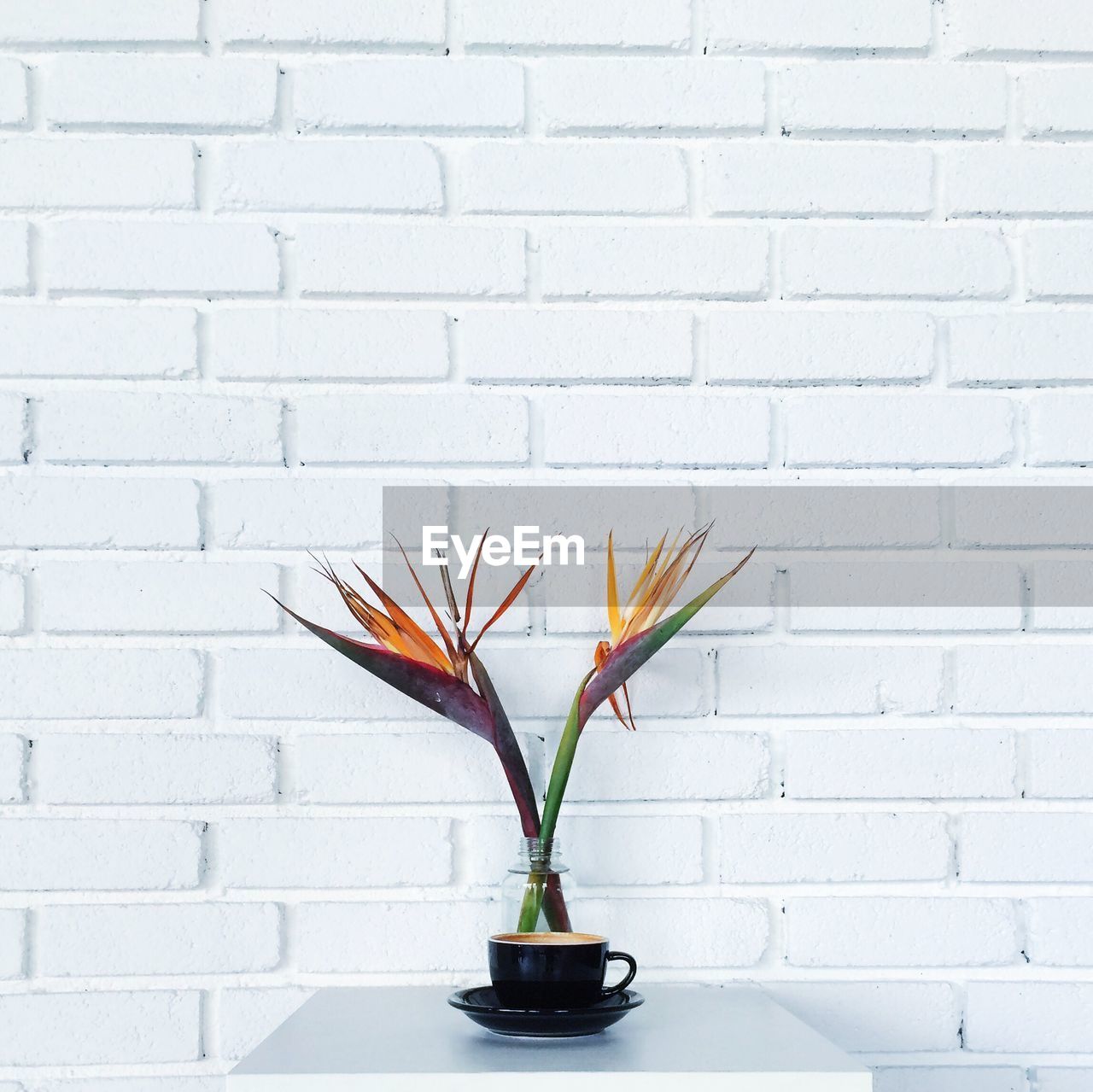 Bird of paradise flowers by coffee cup on table against white wall
