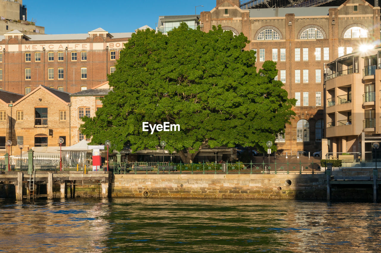 Campbells cove wharf and pier with historic buildings and beautiful green tree. 