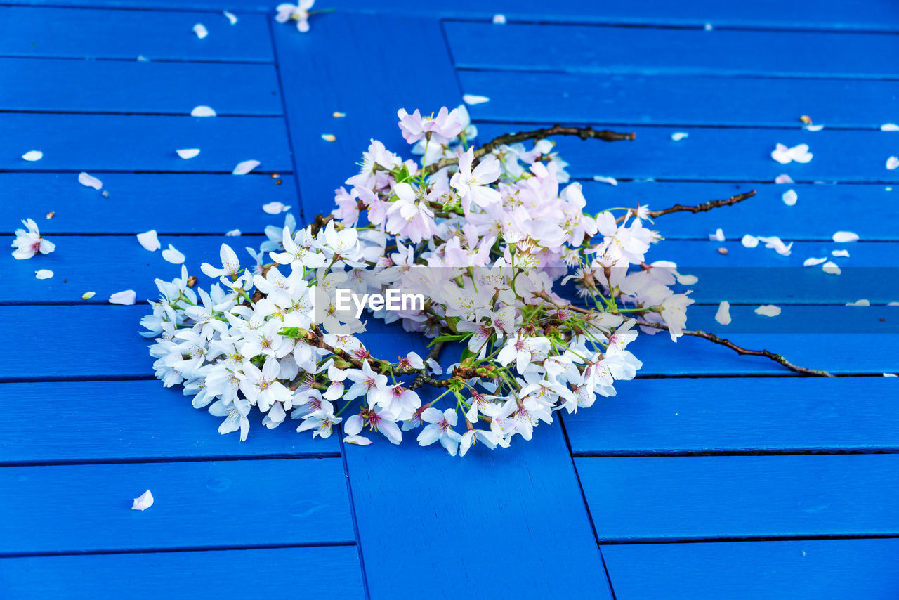 Close-up of blue flowers