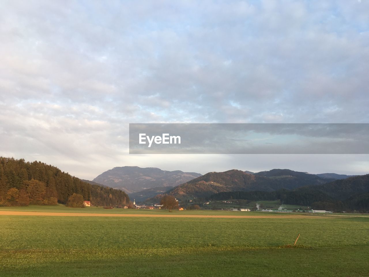 SCENIC VIEW OF GRASSY FIELD AGAINST SKY