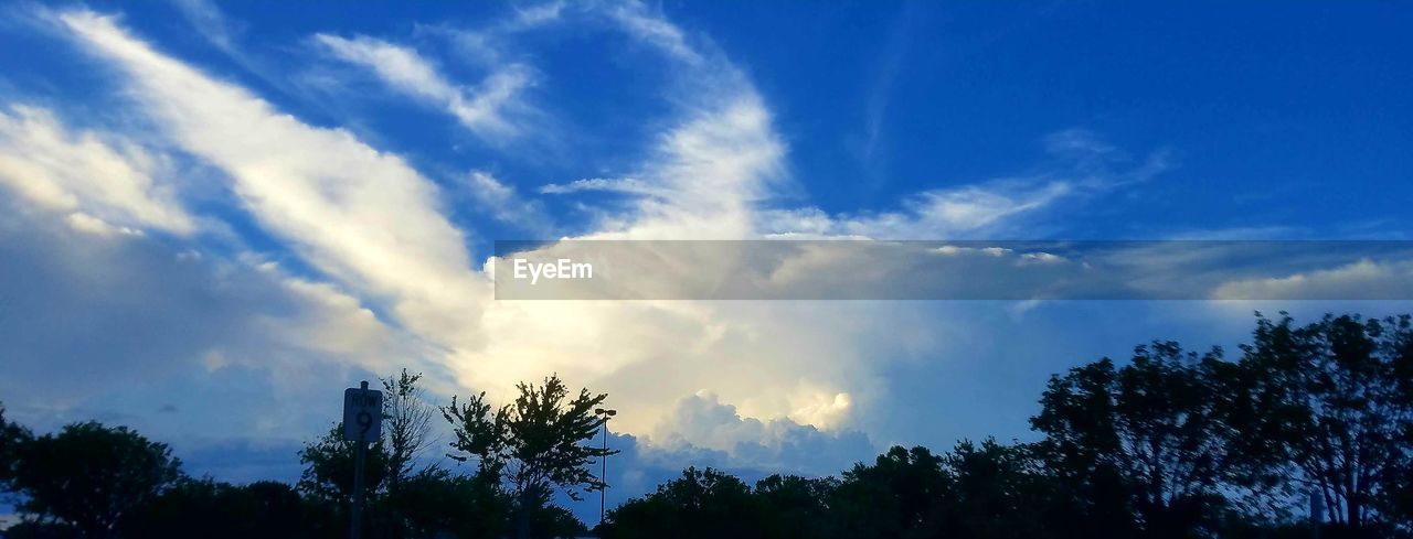 sky, tree, cloud - sky, nature, low angle view, beauty in nature, blue, tranquility, scenics, no people, tranquil scene, outdoors, day, growth