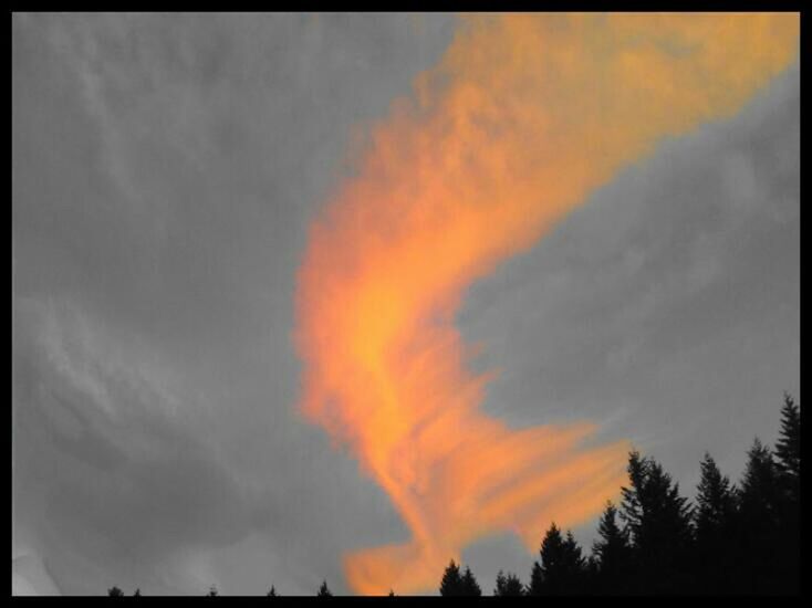 LOW ANGLE VIEW OF DRAMATIC SKY