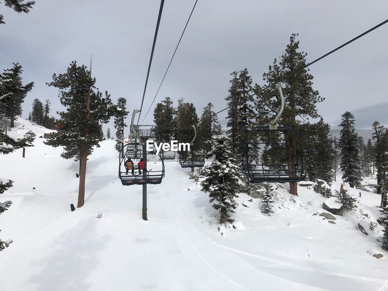 OVERHEAD CABLE CAR ON SNOW COVERED TREES