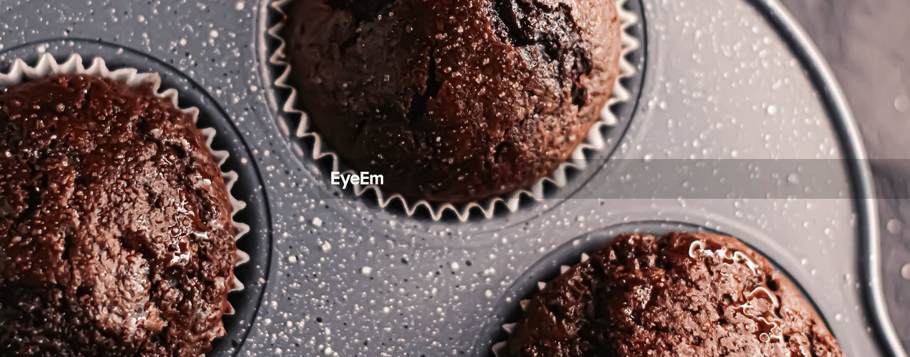 DIRECTLY ABOVE SHOT OF CUPCAKES ON PLATE