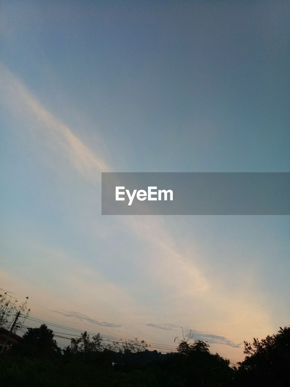 LOW ANGLE VIEW OF SILHOUETTE PLANTS AGAINST SKY