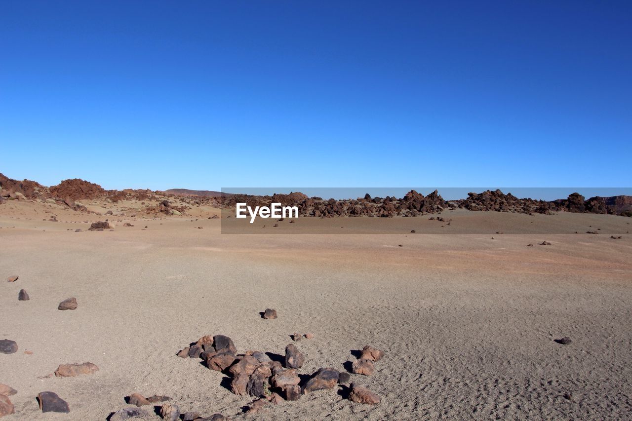 FLOCK OF SHEEP ON DESERT AGAINST CLEAR BLUE SKY