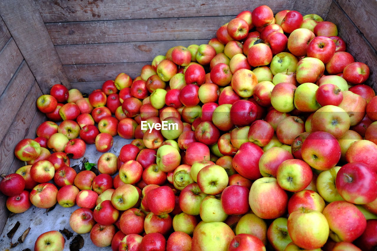 CLOSE-UP OF APPLES IN MARKET