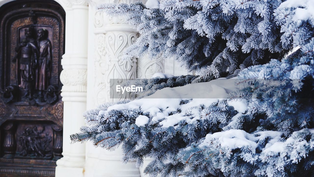 LOW ANGLE VIEW OF SNOW COVERED TREES AGAINST BUILDING