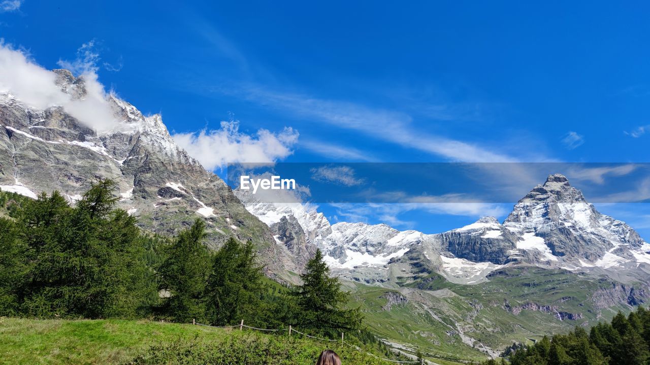 Panoramic view of mountain and trees