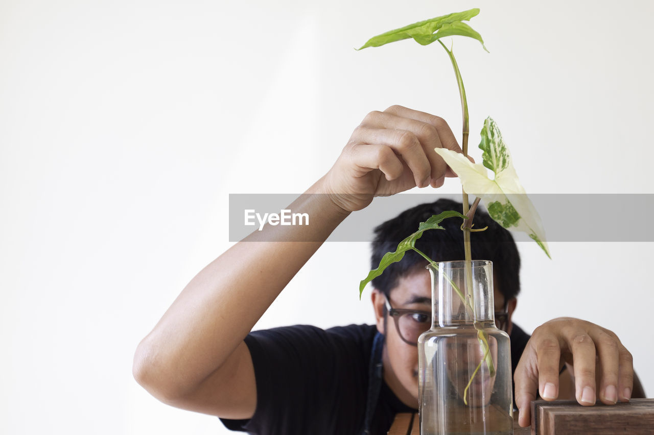 Man cutting leaf in water. water propagation for indoor plants.house plant.plant focus