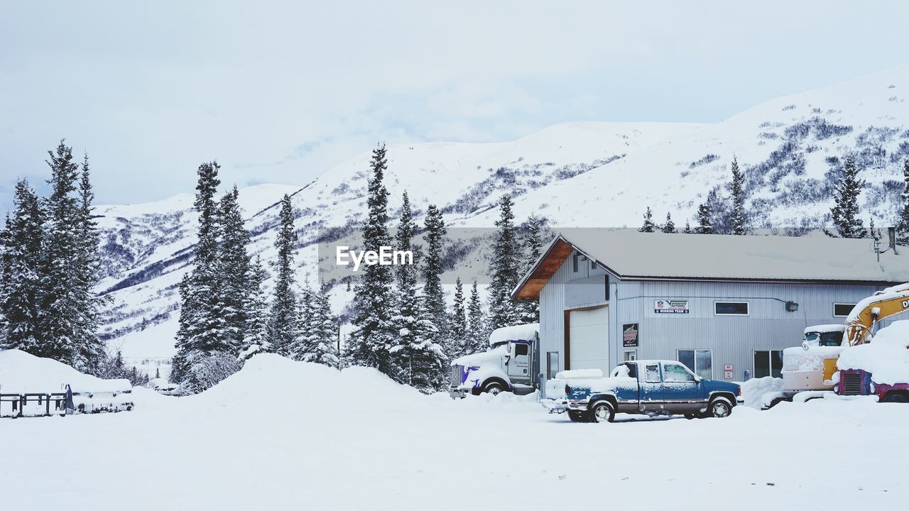 SNOW COVERED LANDSCAPE