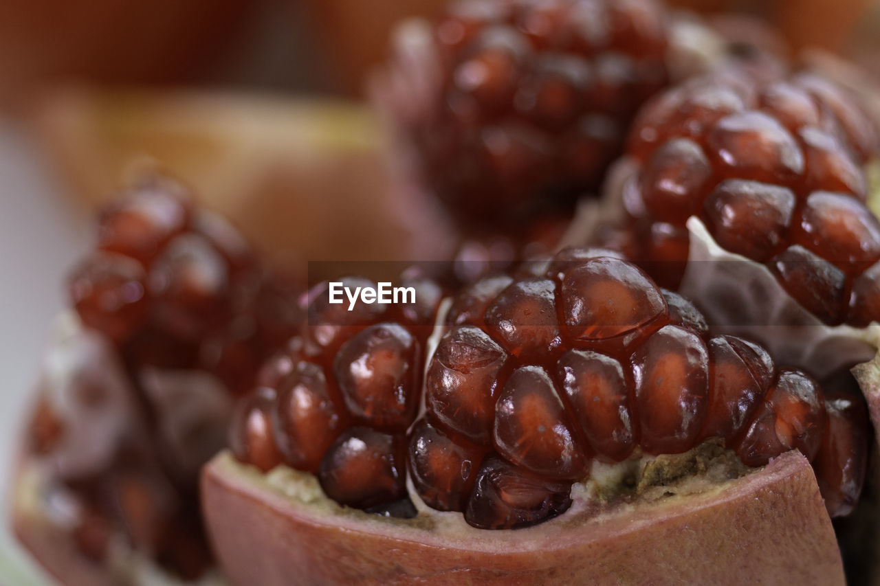 Close-up of pomegranate