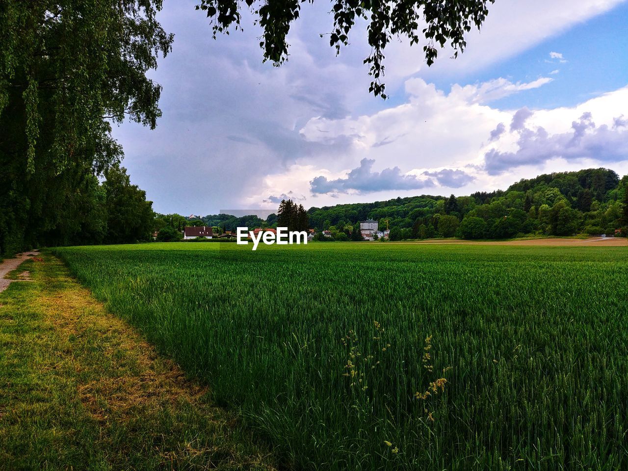 SCENIC VIEW OF FARMS AGAINST SKY