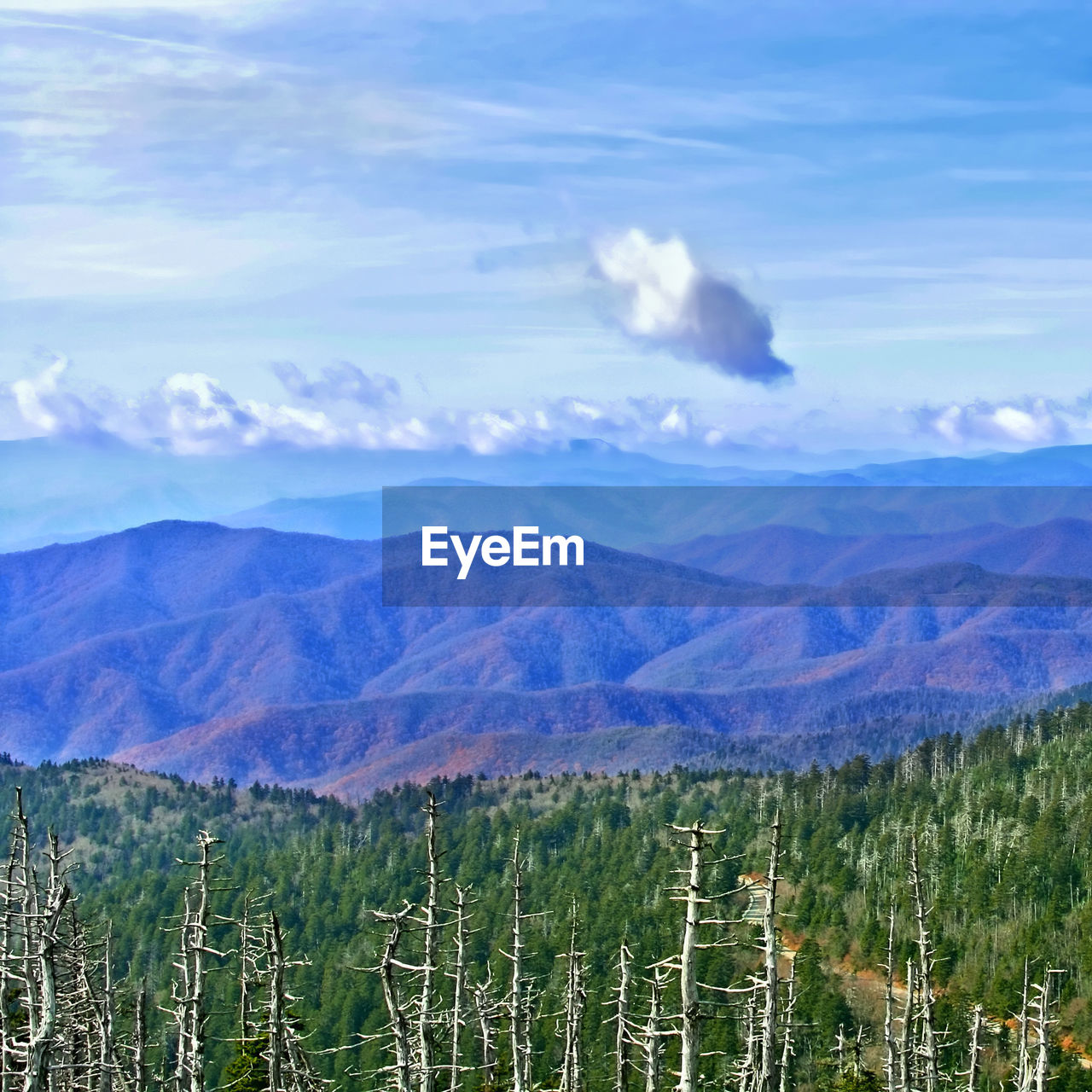 SCENIC VIEW OF LANDSCAPE AND MOUNTAINS AGAINST SKY