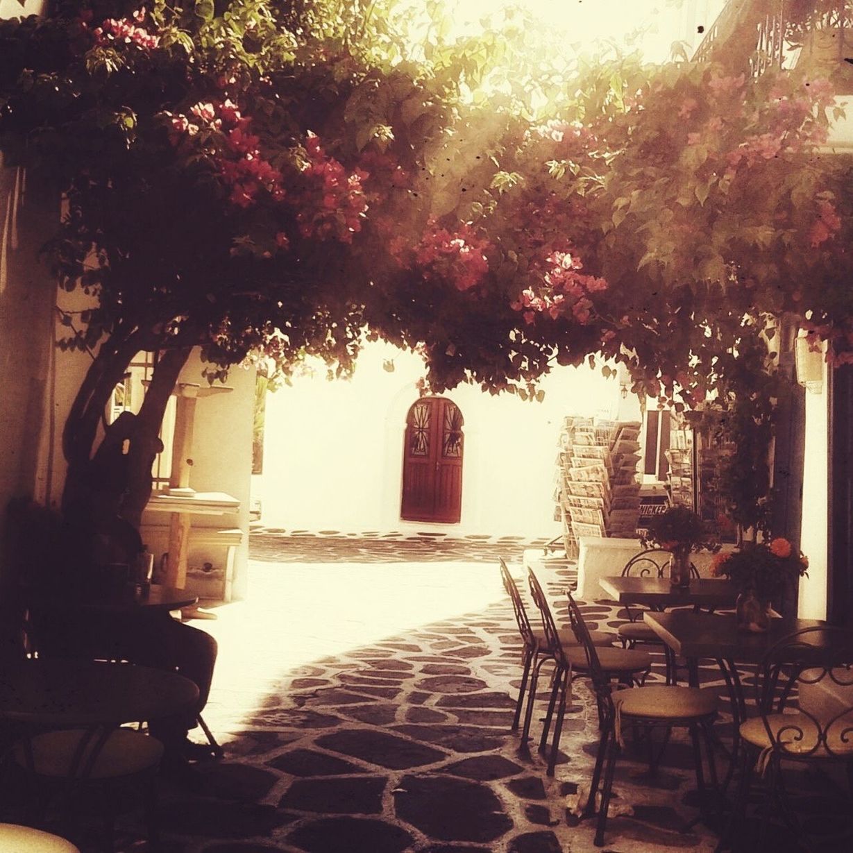 EMPTY CHAIRS IN BACKYARD