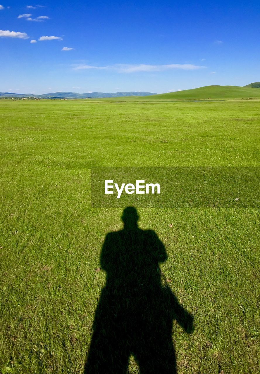 REAR VIEW OF MAN ON GRASSY FIELD AGAINST SKY