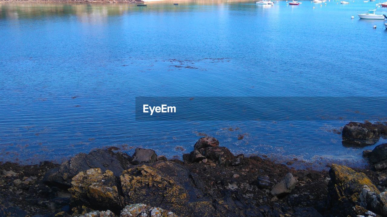 SCENIC VIEW OF LAKE BY SHORE