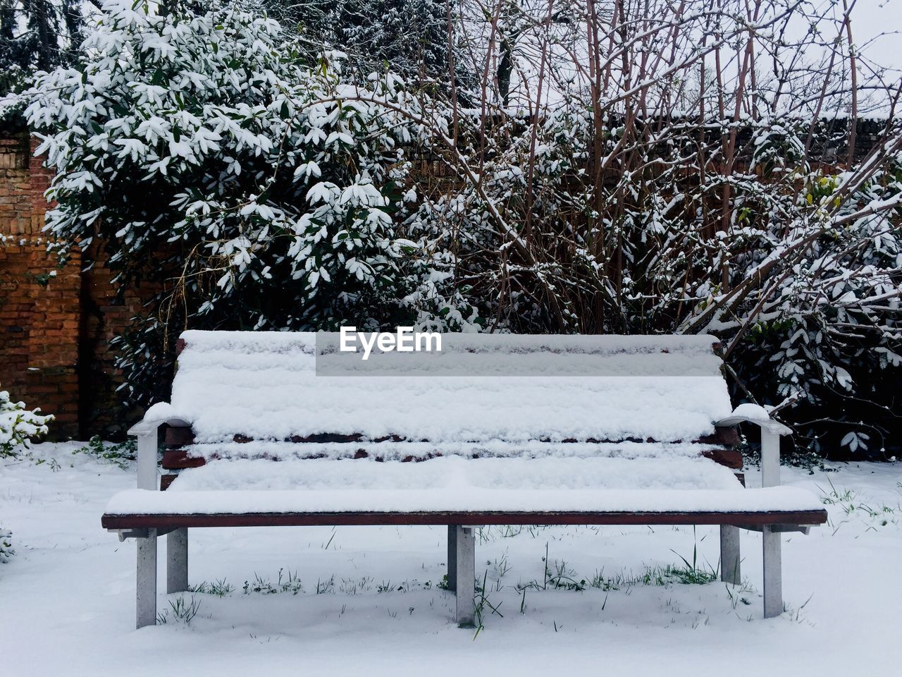 EMPTY BENCH IN SNOW COVERED FIELD