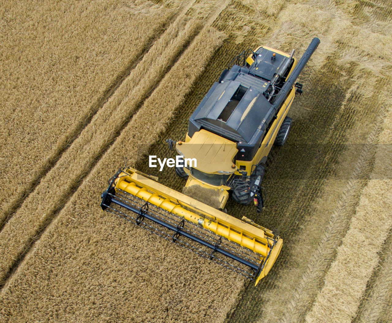High angle view of combine harvester on wheat farm