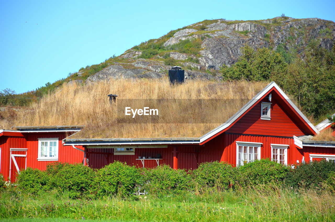 HOUSE AND PLANTS ON FIELD BY HOUSES AGAINST SKY