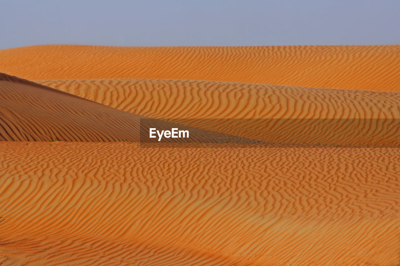 SAND DUNES IN DESERT