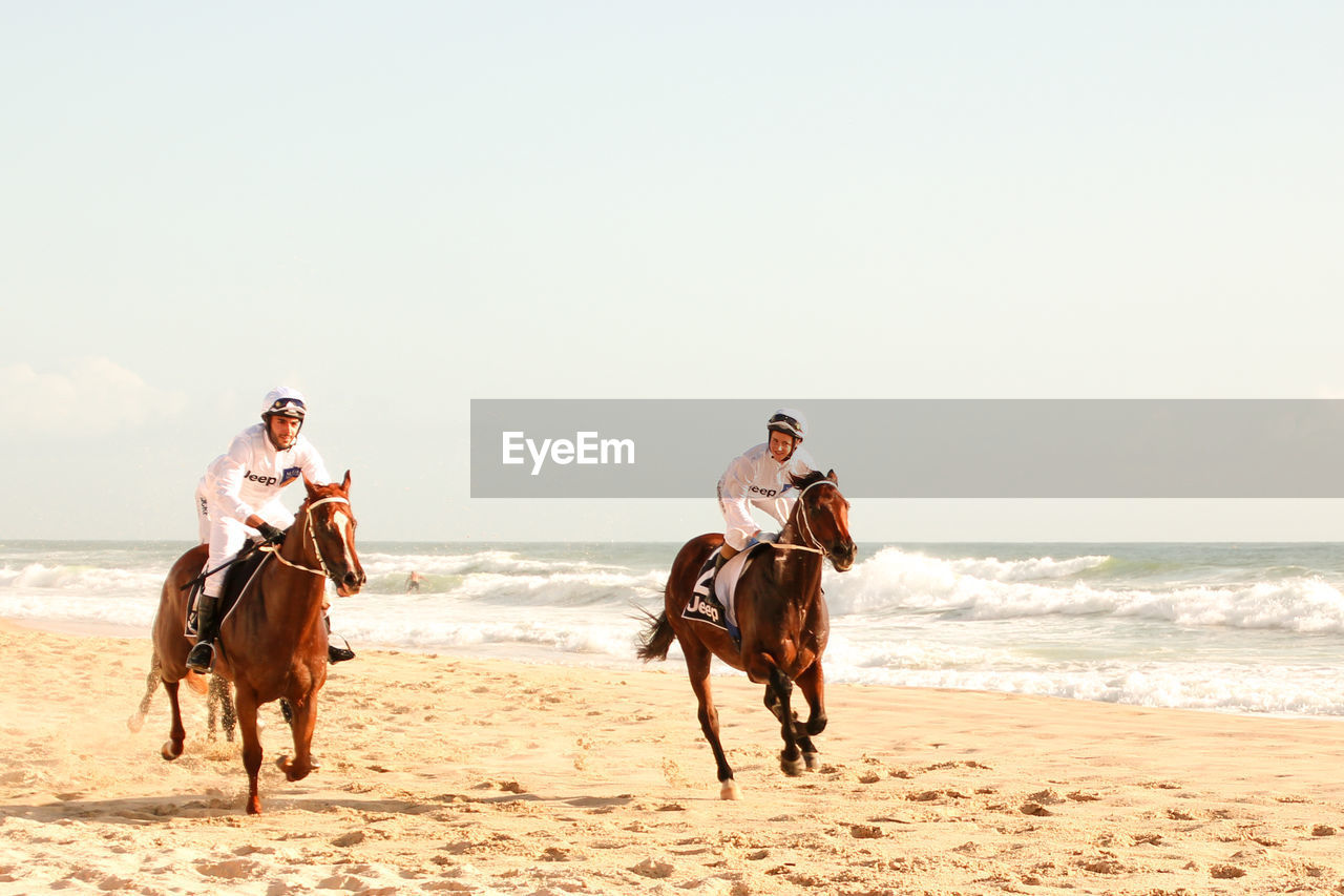 MAN RIDING HORSES ON BEACH