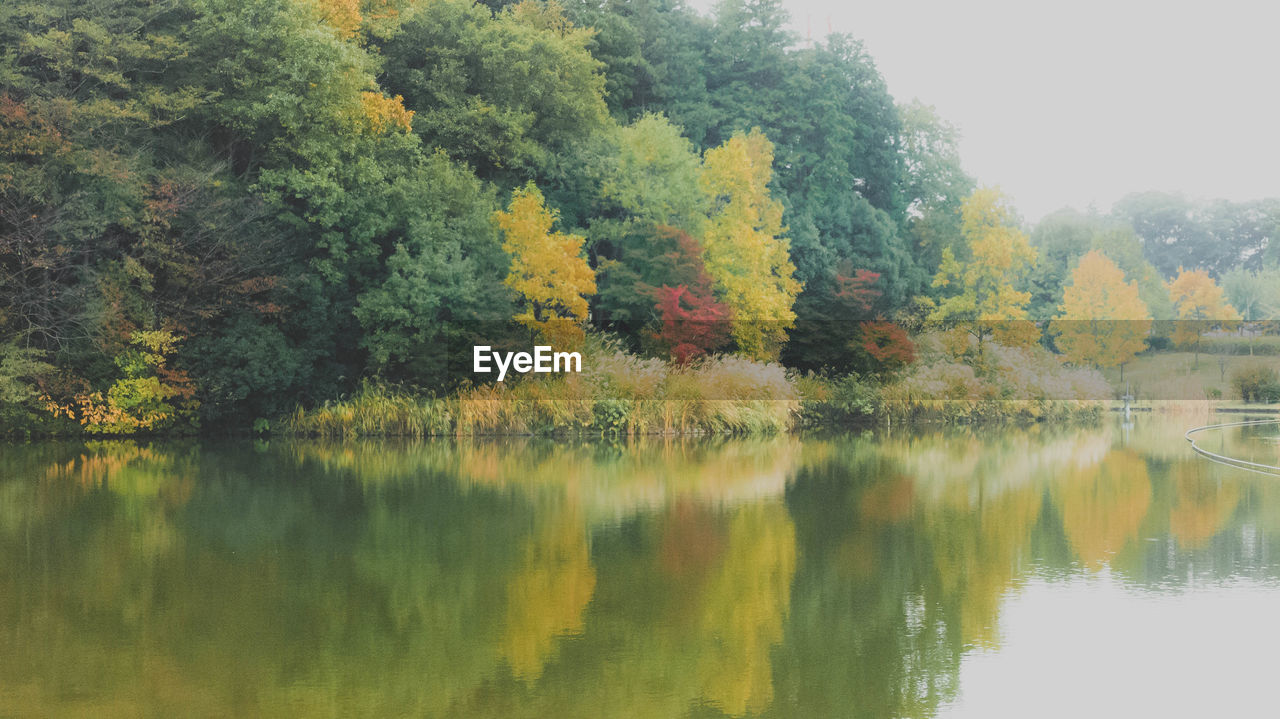 SCENIC VIEW OF LAKE AGAINST TREES