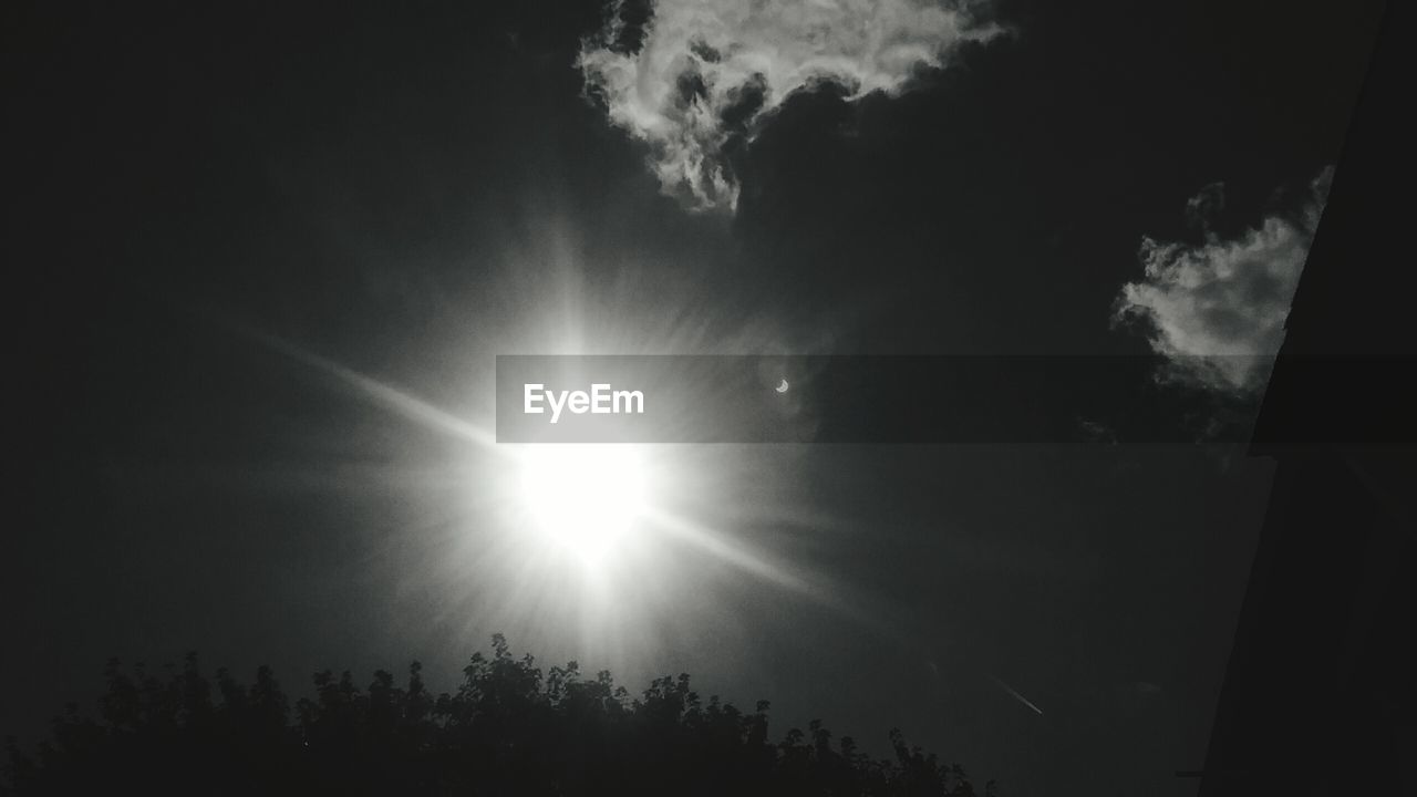 LOW ANGLE VIEW OF SUN SHINING THROUGH SILHOUETTE TREES