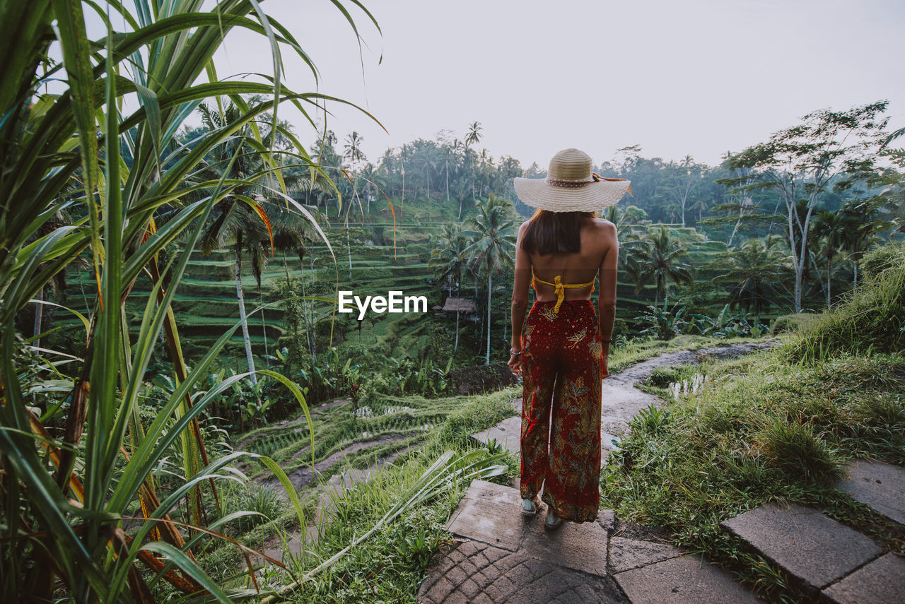 Young woman at rice terrace