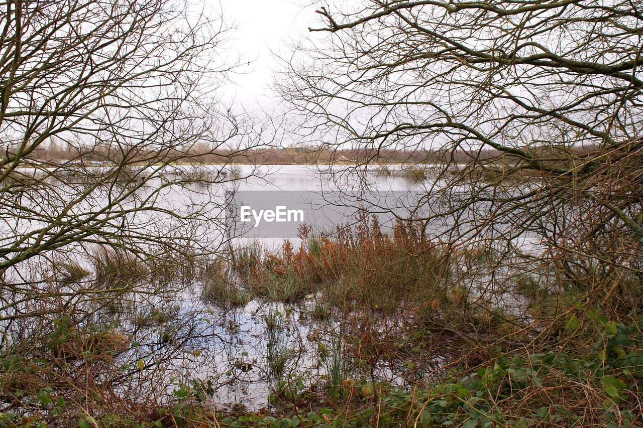 BARE TREES BY RIVER AGAINST SKY