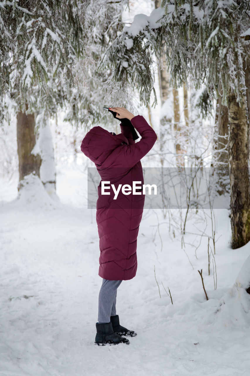 A girl in a burgundy down jacket photographs a snow-covered forest on a mobile phone. person