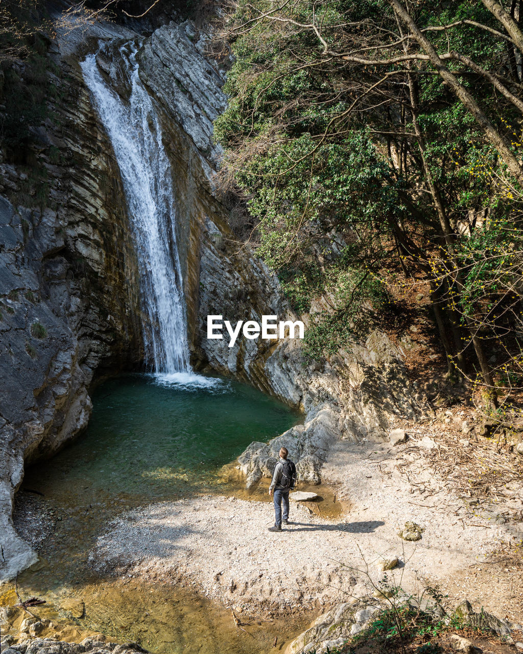 Rear view of man standing by waterfall at forest