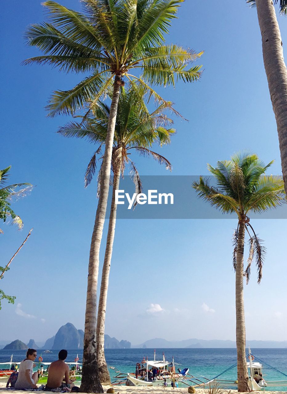 Palm trees on beach