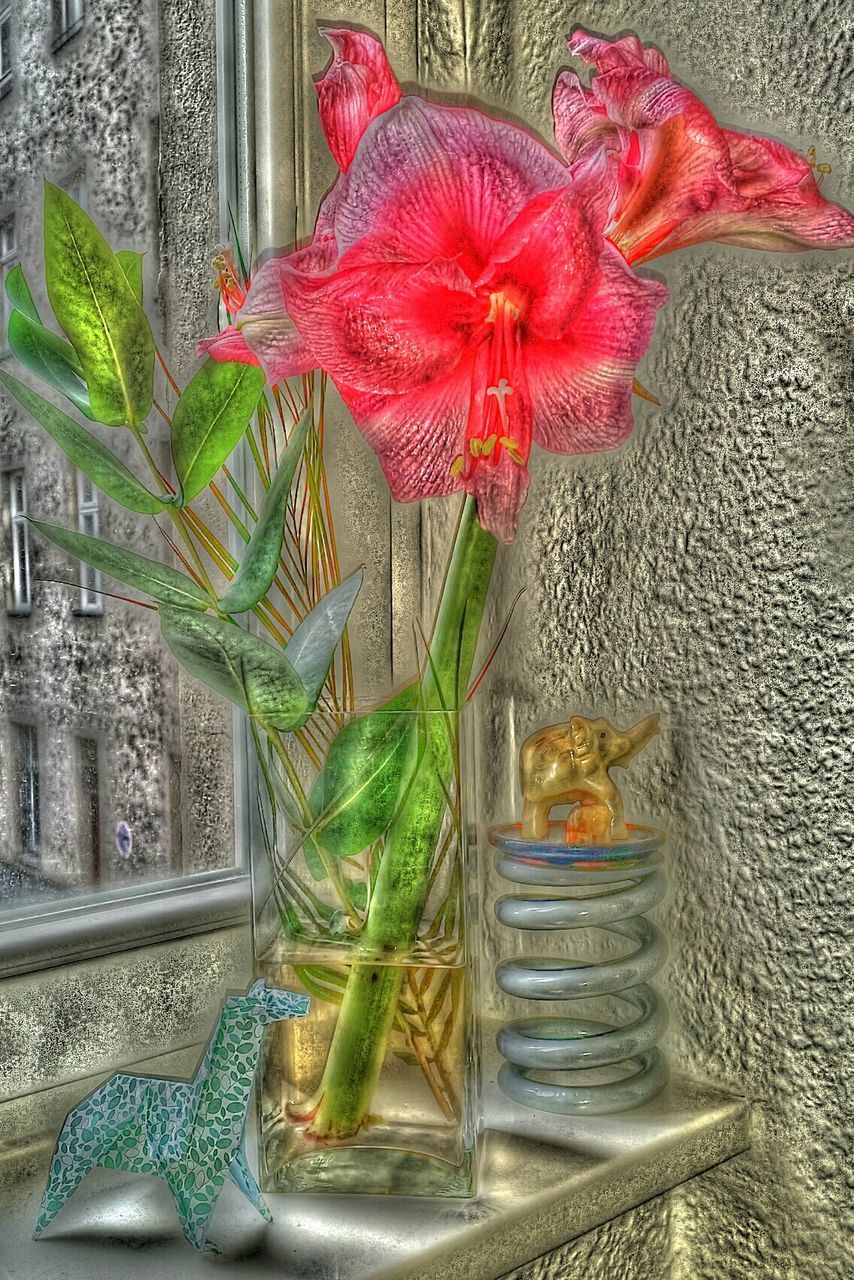 CLOSE-UP OF RED FLOWERS IN VASE