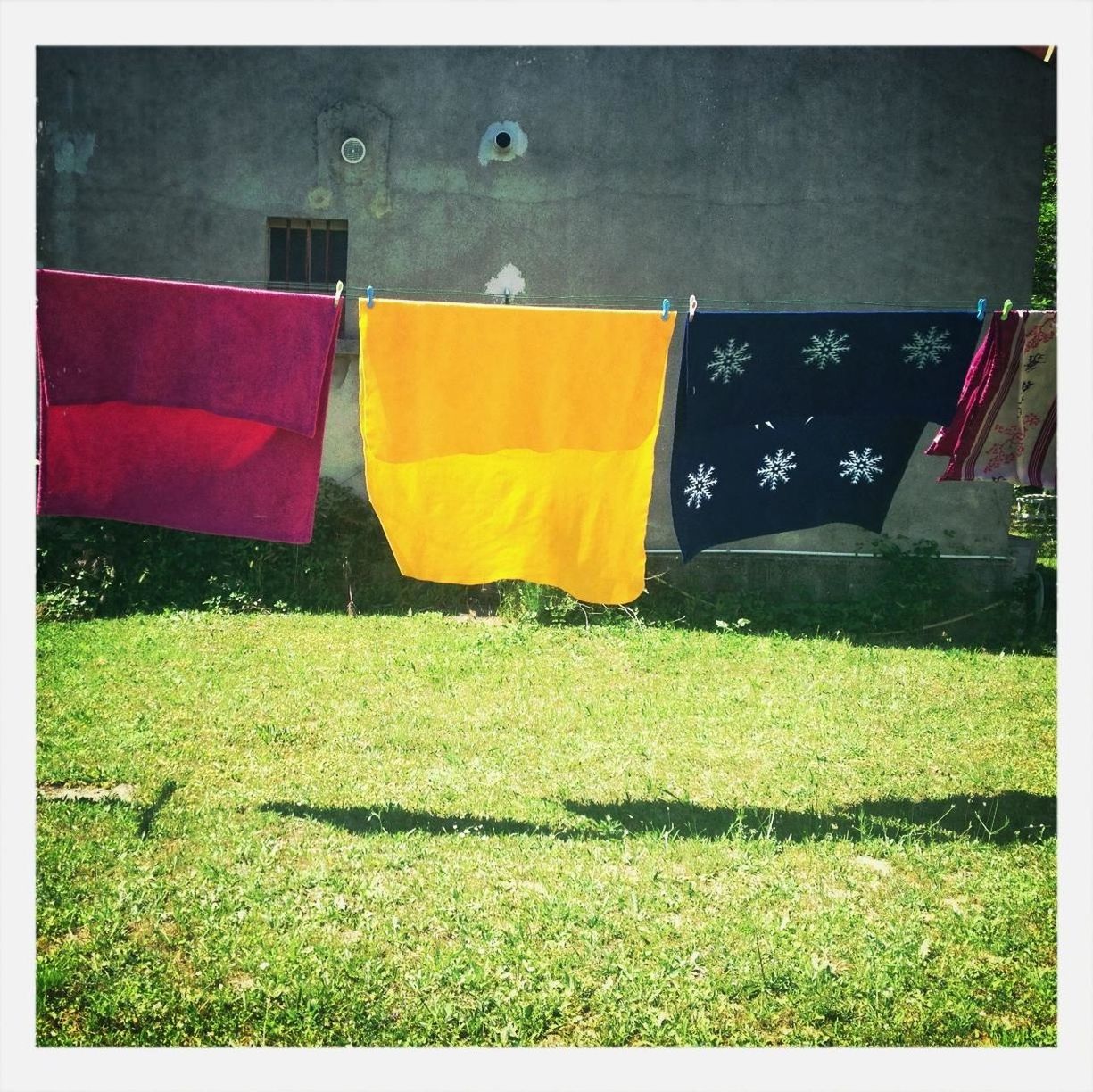 Clothes drying on grassland