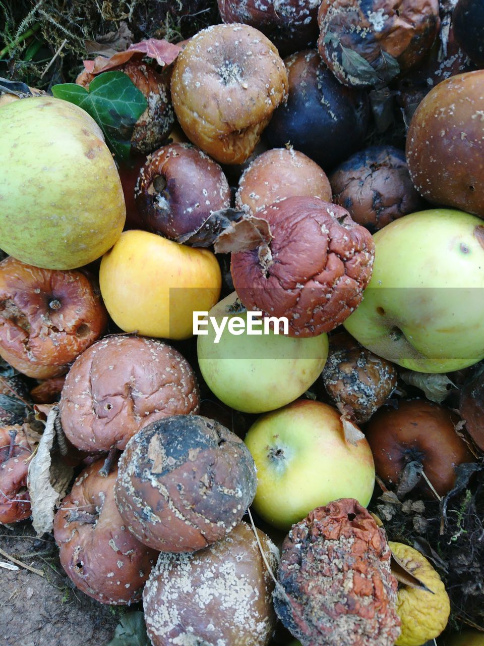 Full frame shot of rotten apples